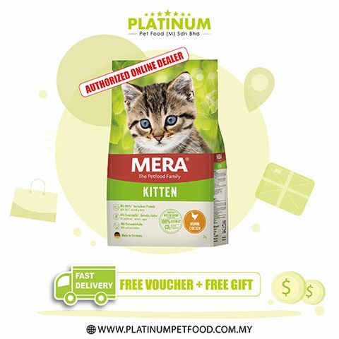 Kitten-Chicken-01
